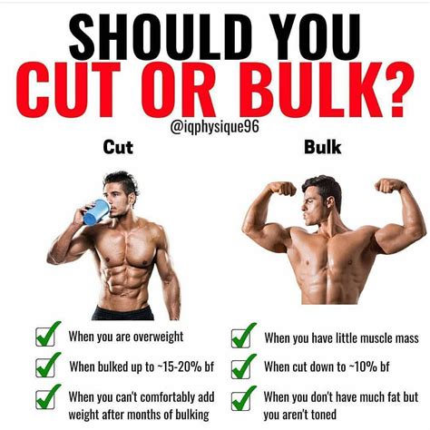 cutting vs bulking.